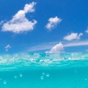 Meet your Posher, Hawaiian